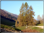 foto Valle delle Mura in Autunno